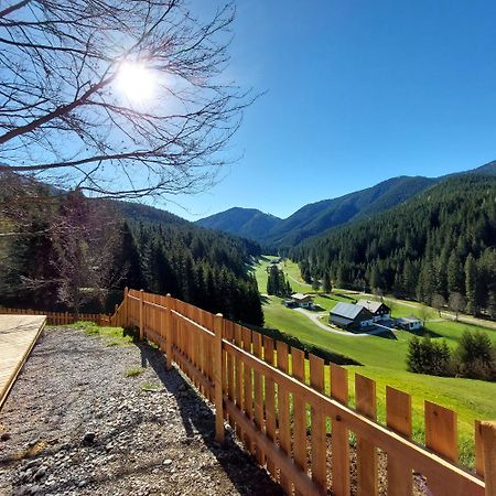 Huette Neuhaus Villa Annaberg im Lammertal Dış mekan fotoğraf