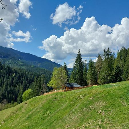 Huette Neuhaus Villa Annaberg im Lammertal Dış mekan fotoğraf