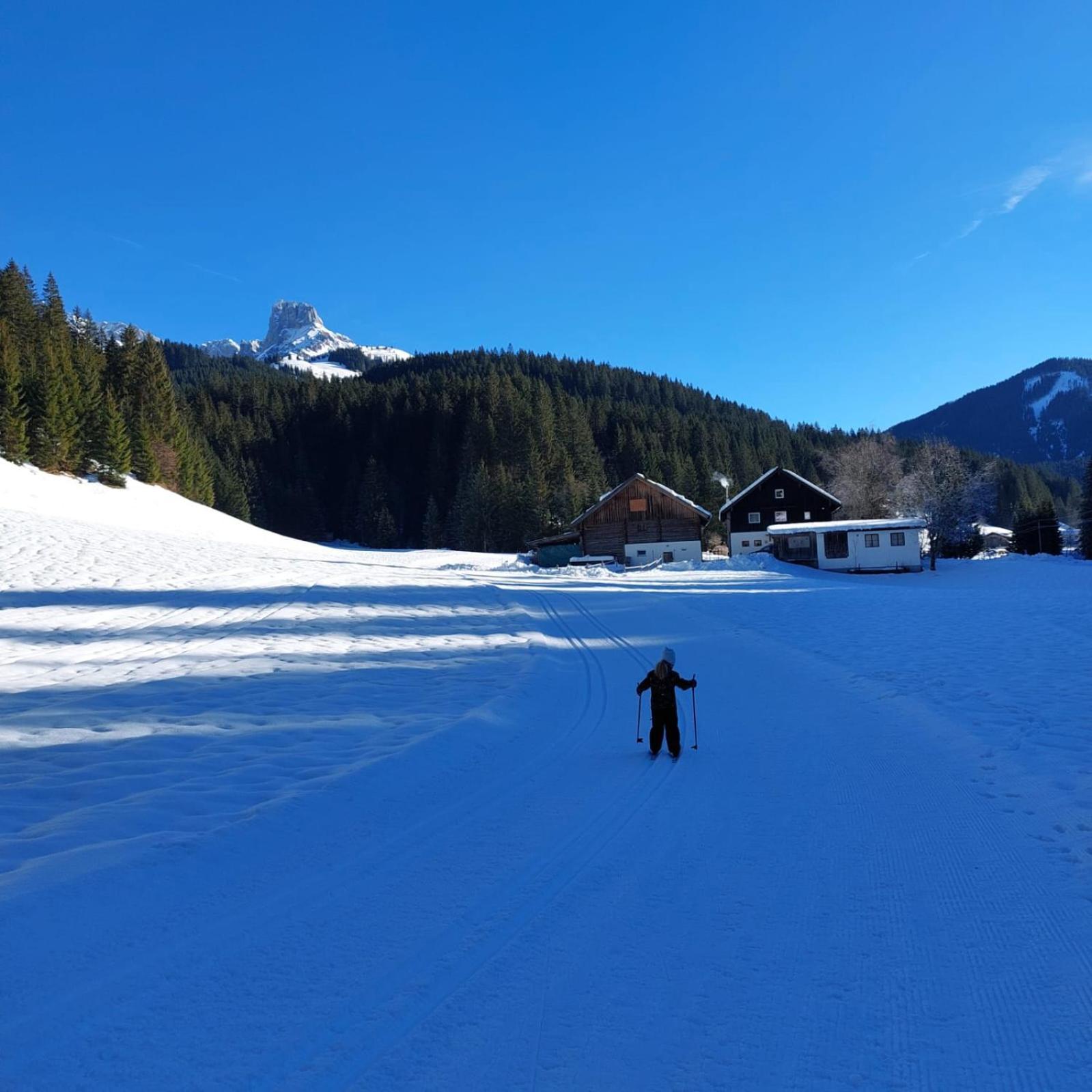 Huette Neuhaus Villa Annaberg im Lammertal Dış mekan fotoğraf