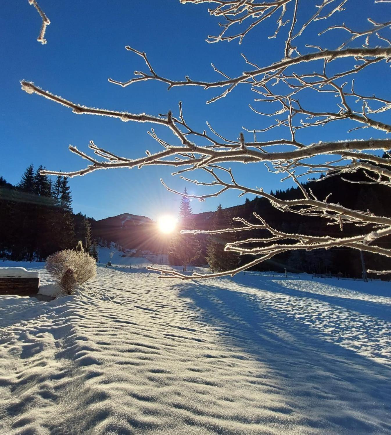 Huette Neuhaus Villa Annaberg im Lammertal Dış mekan fotoğraf