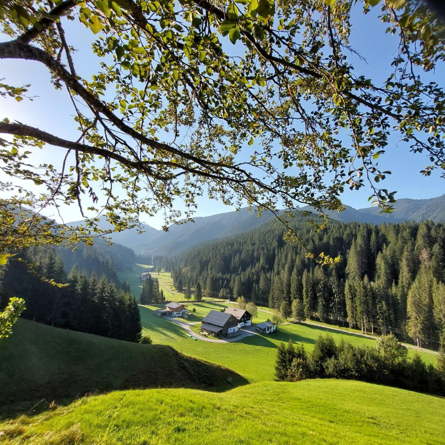 Huette Neuhaus Villa Annaberg im Lammertal Dış mekan fotoğraf