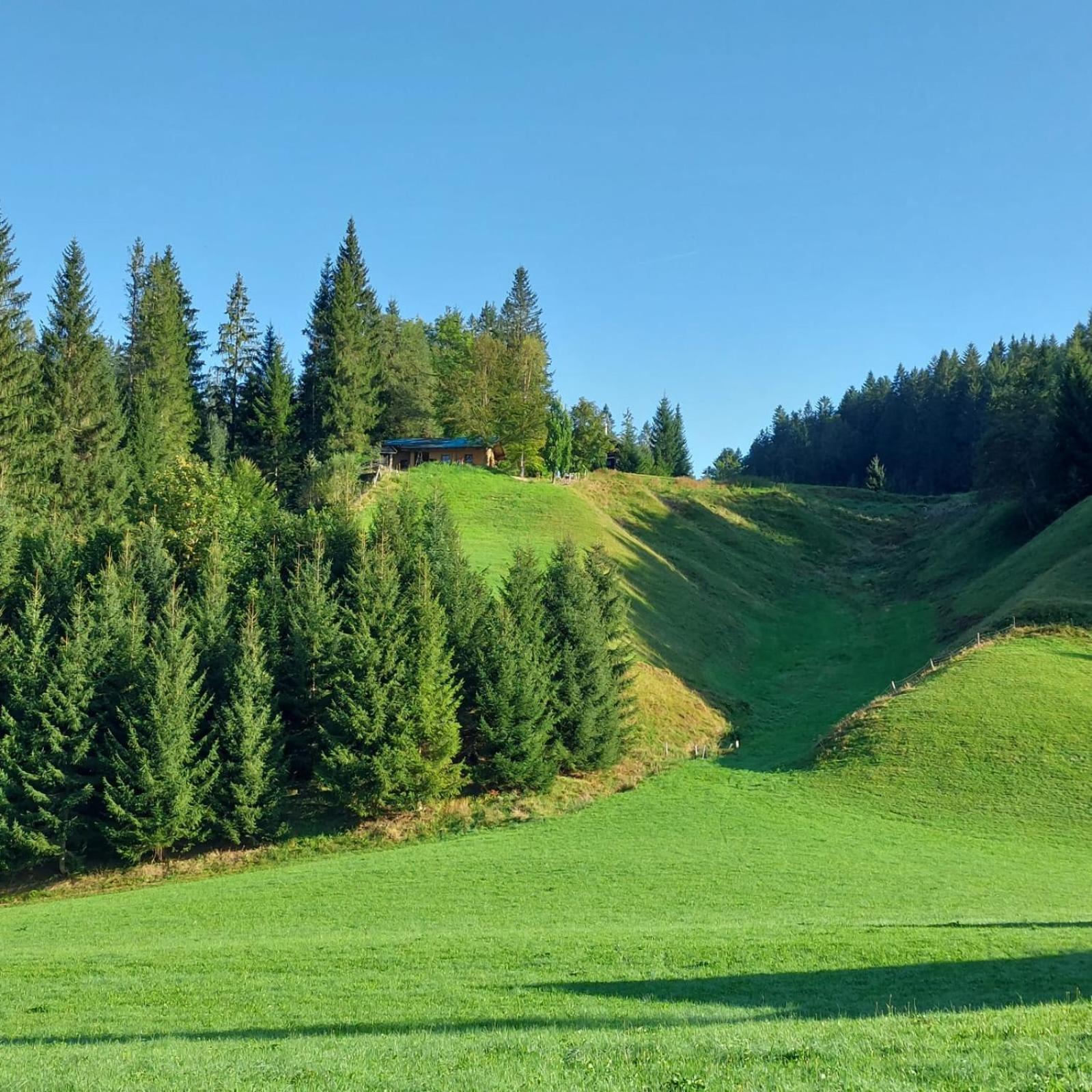 Huette Neuhaus Villa Annaberg im Lammertal Dış mekan fotoğraf