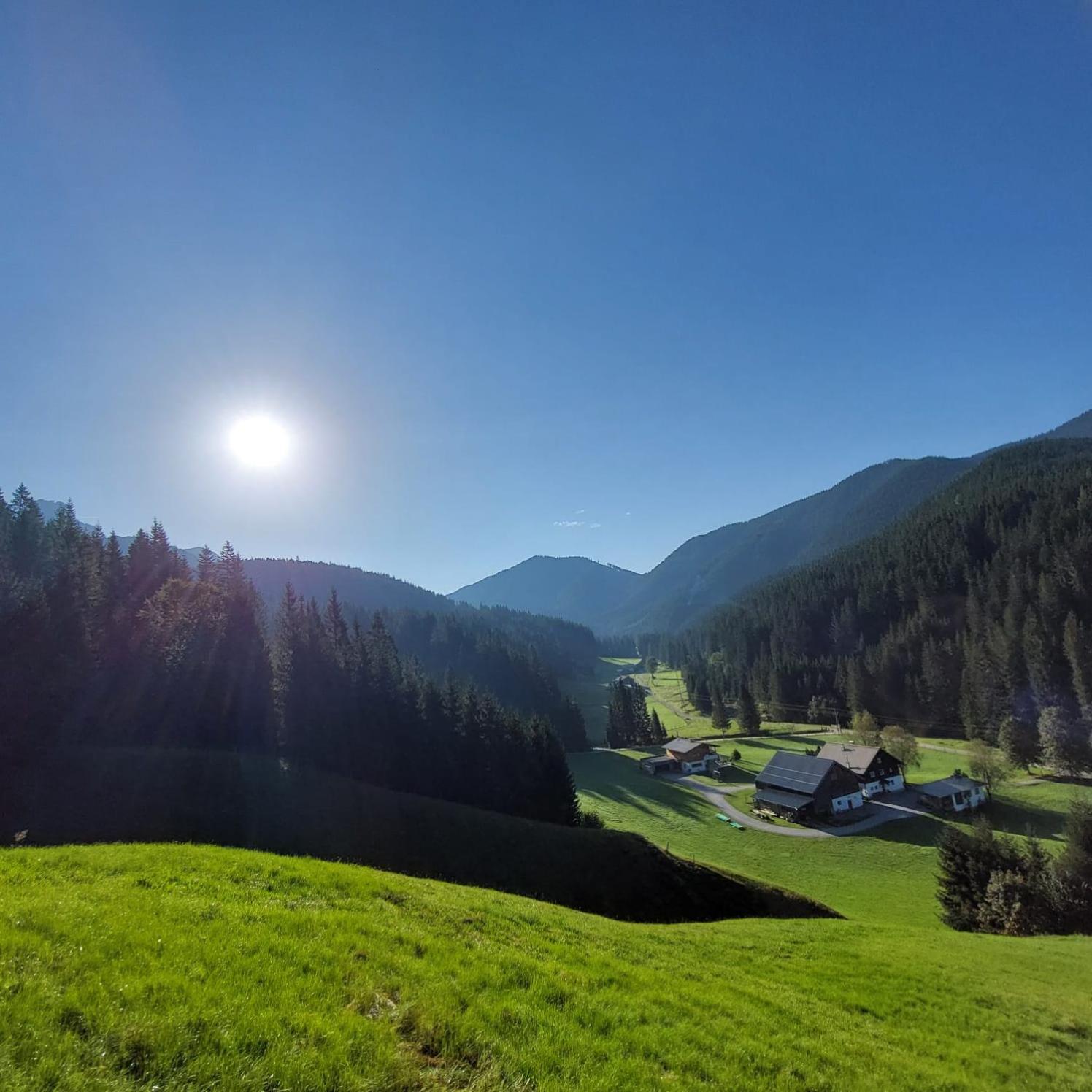 Huette Neuhaus Villa Annaberg im Lammertal Dış mekan fotoğraf