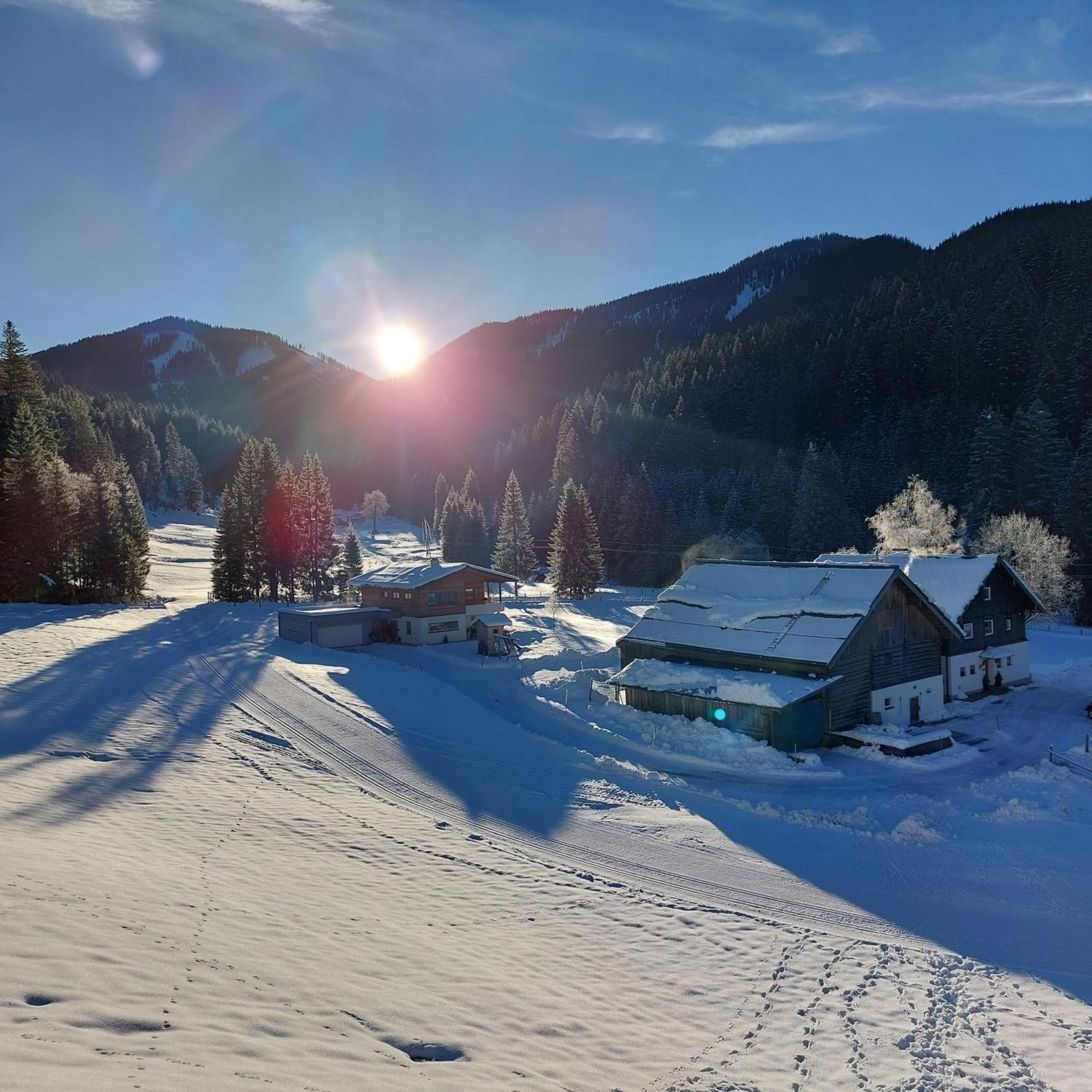 Huette Neuhaus Villa Annaberg im Lammertal Dış mekan fotoğraf
