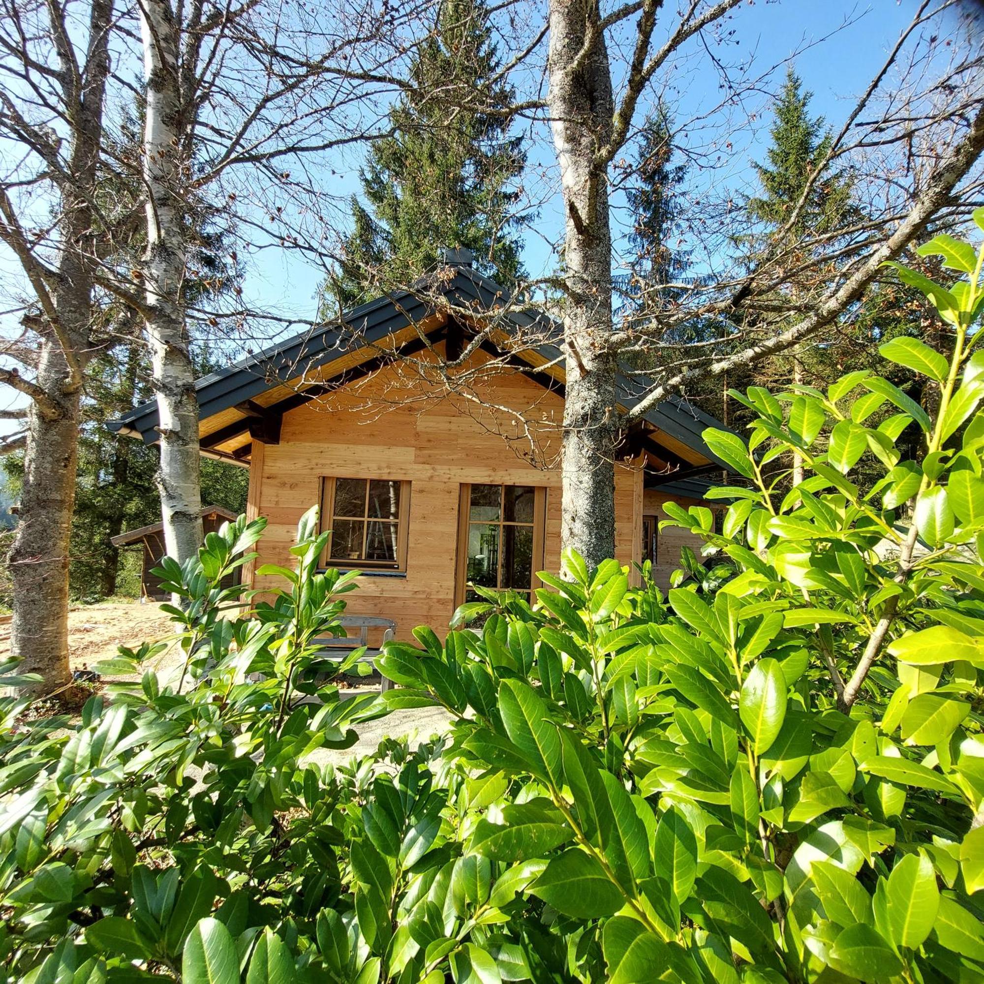 Huette Neuhaus Villa Annaberg im Lammertal Dış mekan fotoğraf
