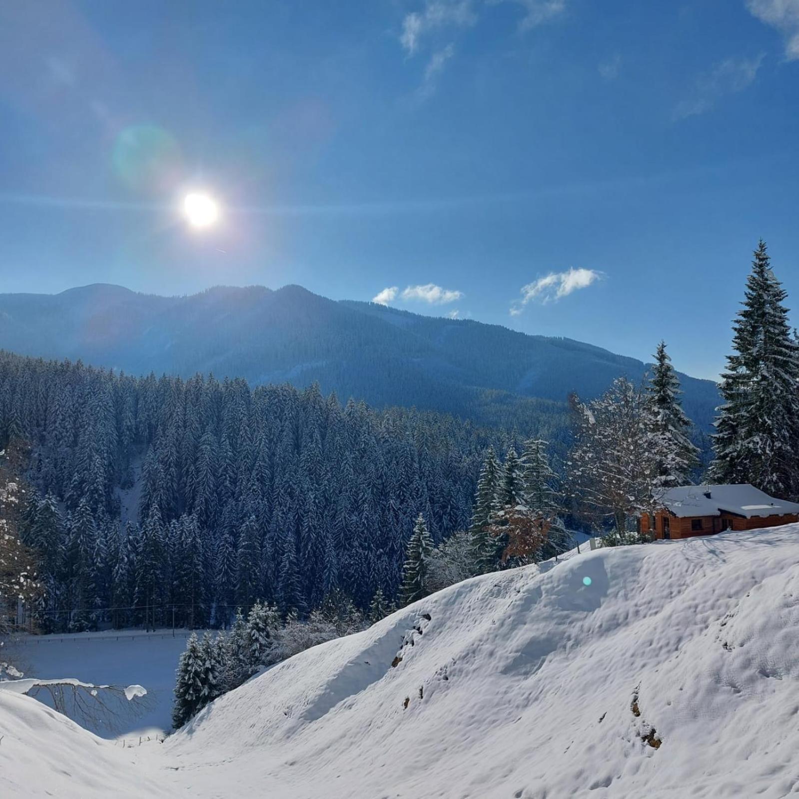 Huette Neuhaus Villa Annaberg im Lammertal Dış mekan fotoğraf