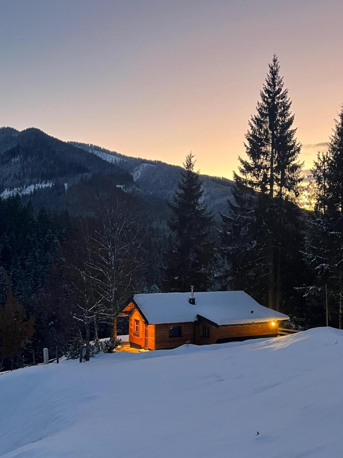 Huette Neuhaus Villa Annaberg im Lammertal Dış mekan fotoğraf