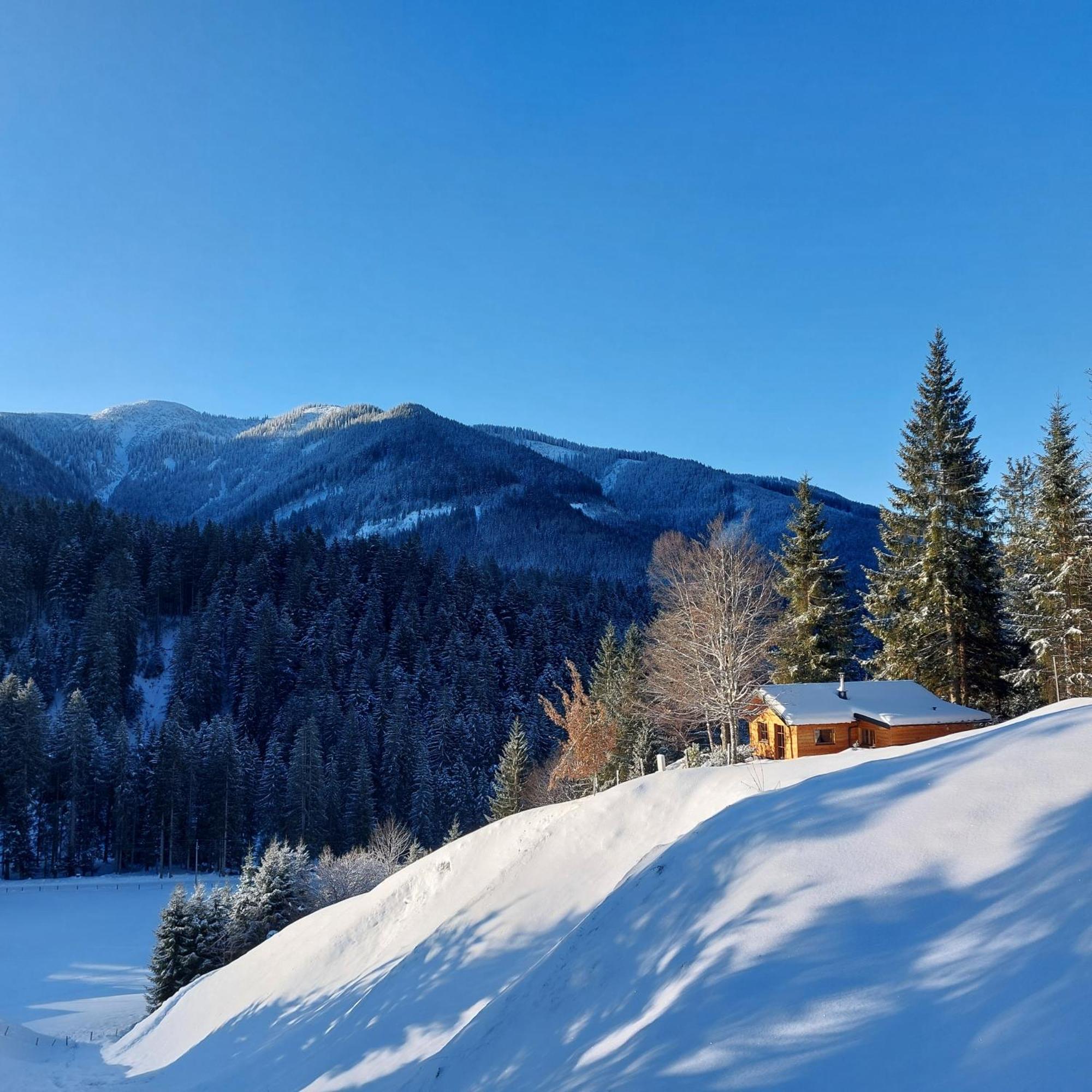 Huette Neuhaus Villa Annaberg im Lammertal Dış mekan fotoğraf