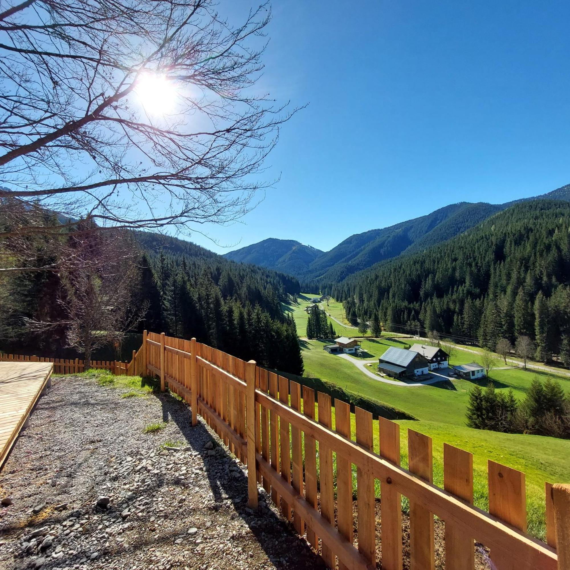 Huette Neuhaus Villa Annaberg im Lammertal Dış mekan fotoğraf