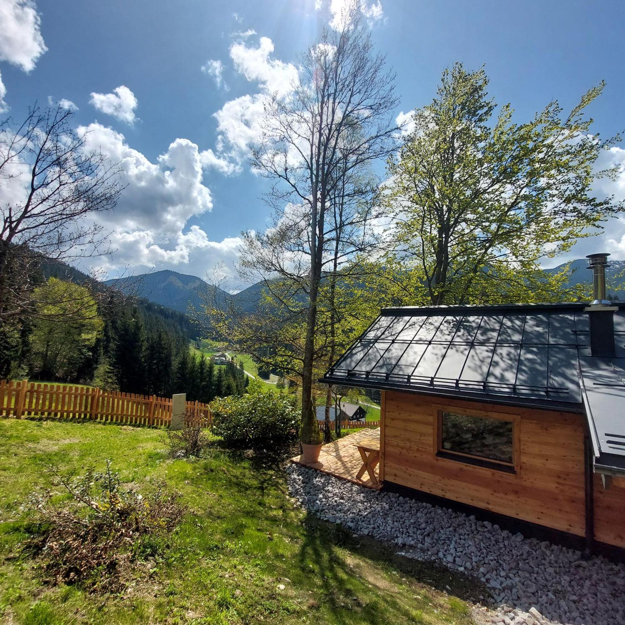 Huette Neuhaus Villa Annaberg im Lammertal Dış mekan fotoğraf
