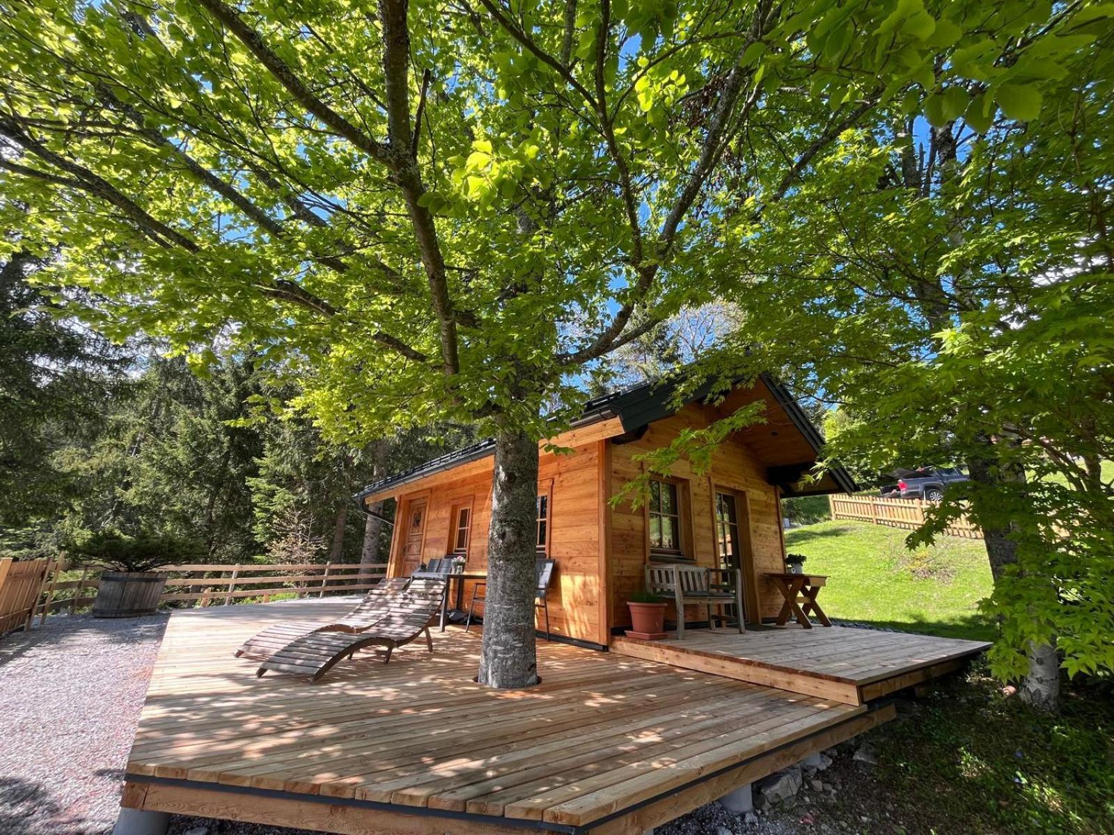 Huette Neuhaus Villa Annaberg im Lammertal Dış mekan fotoğraf