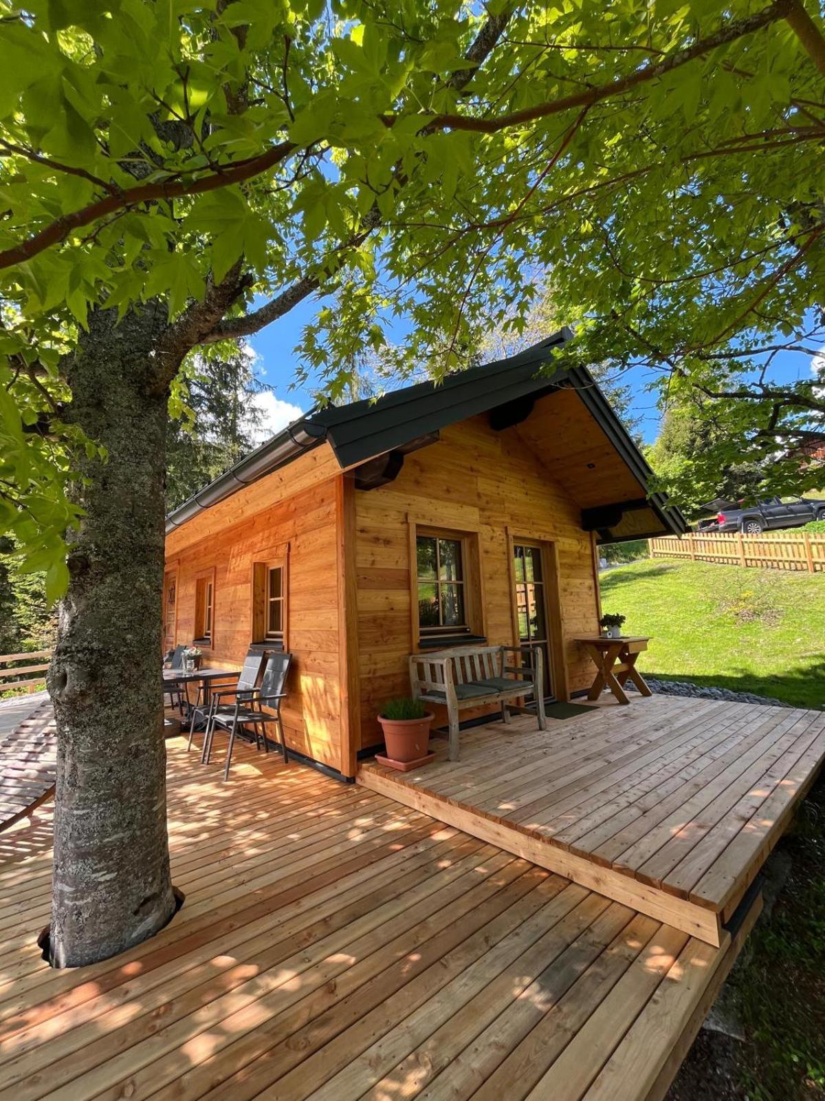 Huette Neuhaus Villa Annaberg im Lammertal Dış mekan fotoğraf
