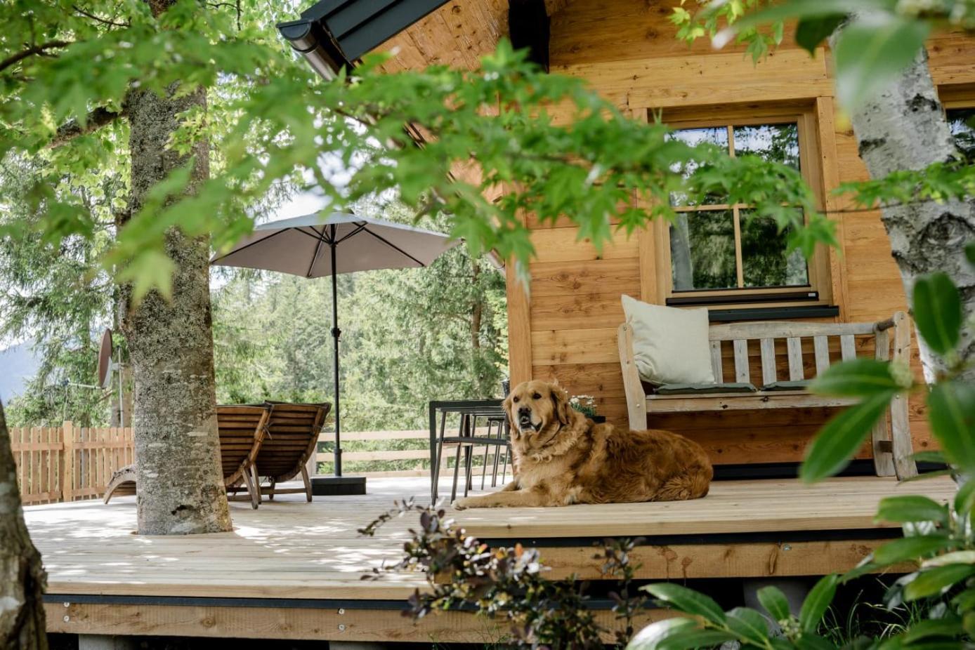 Huette Neuhaus Villa Annaberg im Lammertal Dış mekan fotoğraf