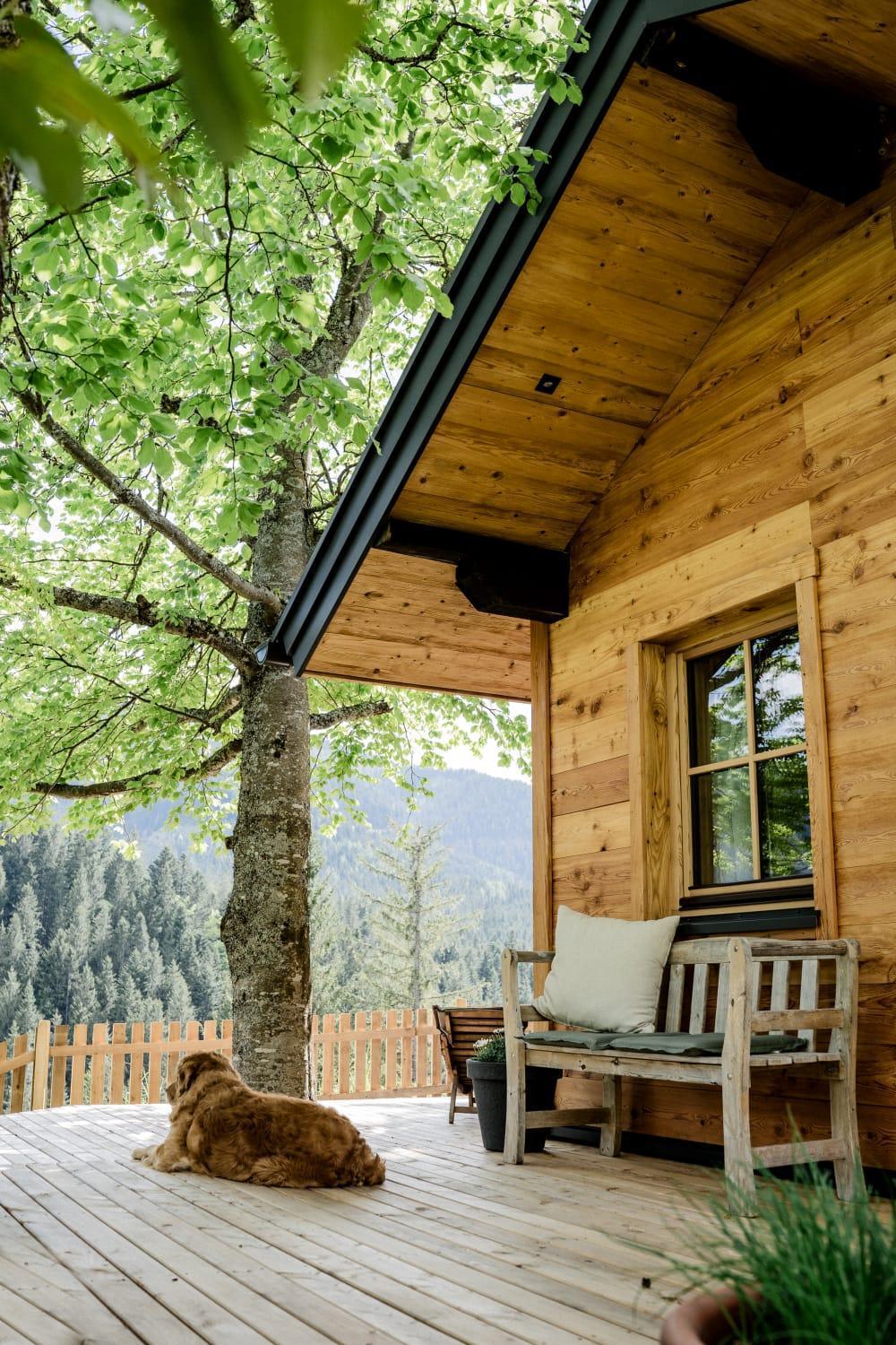 Huette Neuhaus Villa Annaberg im Lammertal Dış mekan fotoğraf